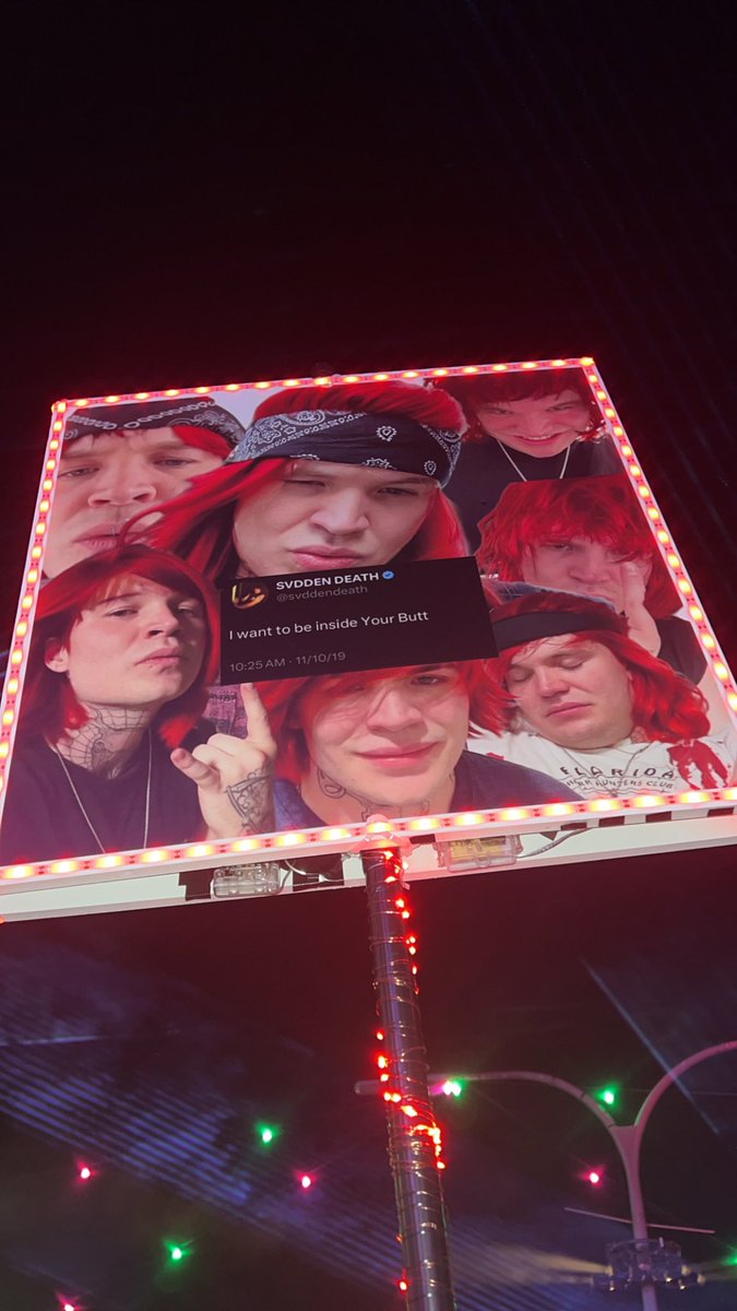 moose girl tweet media