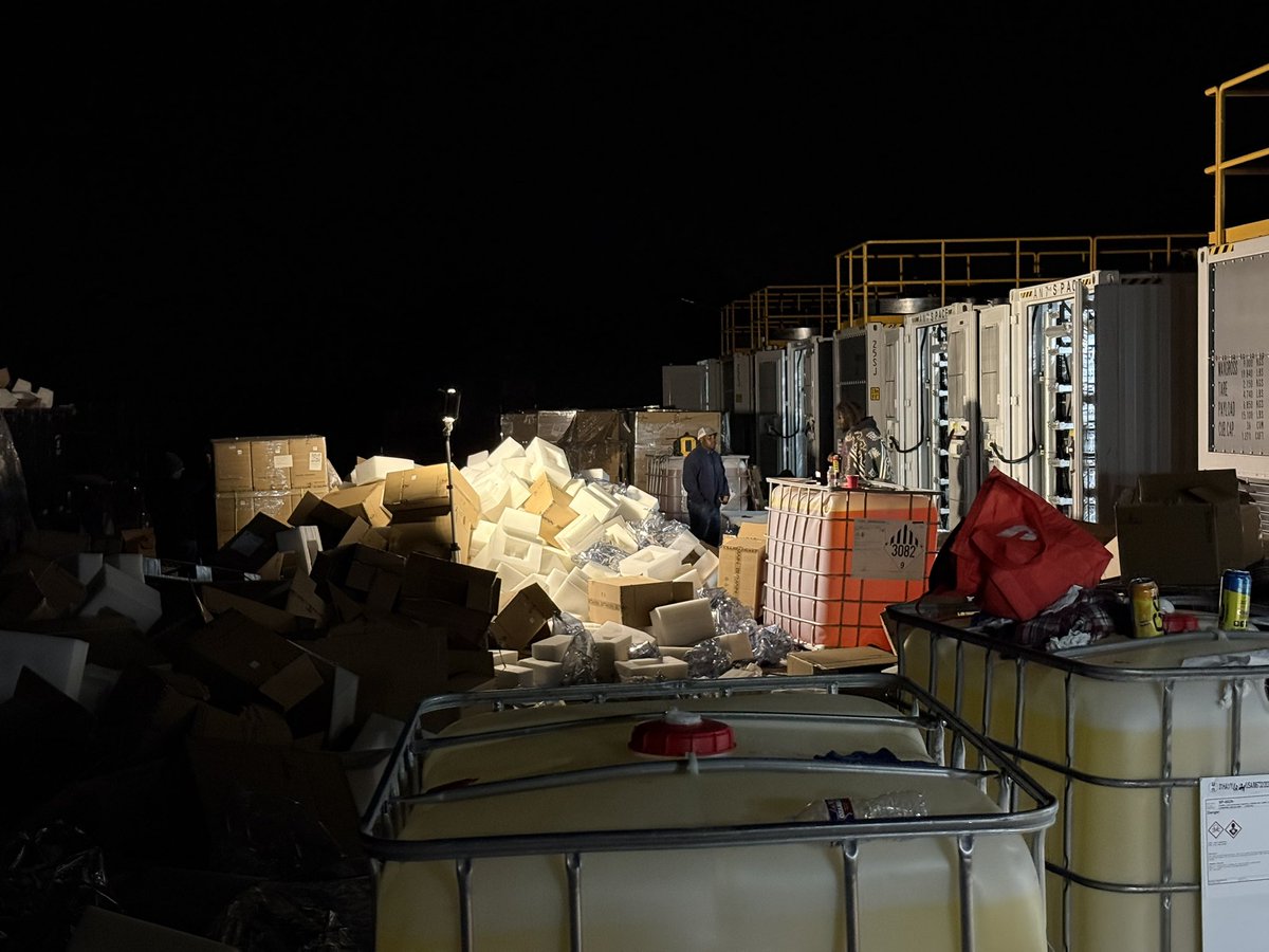 jamo🐢 tweet media