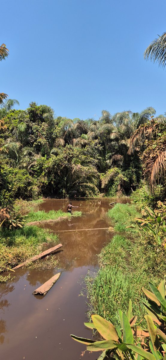 hydro_corsica's tweet photo. Great to be back in #Akonolinga for the the 3rd  international 🇫🇷🇨🇲 #OHWA masters field school on #OneHealth and #Water 💧  Ready for great field experience and knowledge sharing on water-related diseases !!!
@UBuea
@UnivCorse
@UnivDouala
@ird_fr
@FRauCameroun https://t.co/llS8mIz4sp