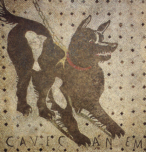 BadBoyOf_Web3's tweet image. A building in Pompeii has a mosaic with the words ‘Cave Canem’, or ‘Beware of the Dog’. (📷: Sailko)

H3UnmT7whTC8DVqua5k3SpQDao7MgACypj4GmgXCpump

Gm $canem