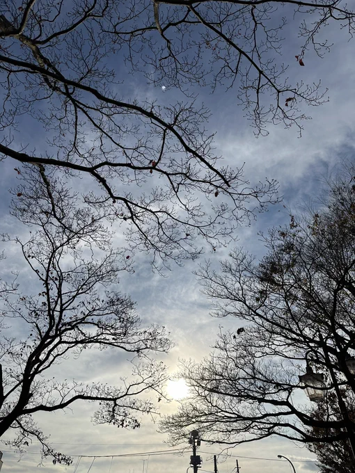 寒すぎもせずほどよい
