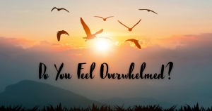 CommunityLight's tweet image. So many uncertainties are burdening our hearts.  Feeling overwhelmed and lost in this quagmire of losses has us overwhelmed

Fear is taking hold, anxiety is heightened.   It is good to know that #HopeHasNotBeenCancelled

Giving #HopeAgiftOfEmpowerment  has #InfinitePossibilities