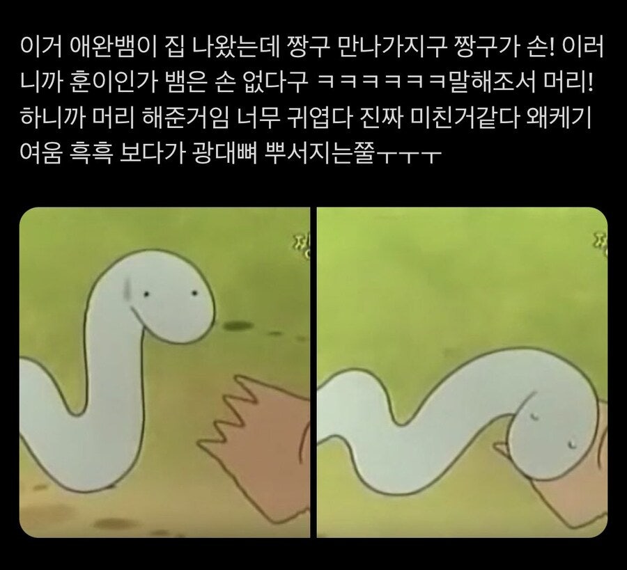 퐁콜라의 짤저장계 (@allmyheart319) on Twitter photo 