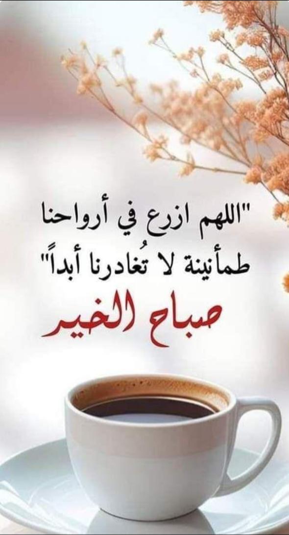 سيف السبيعي (@saif39828) on Twitter photo 