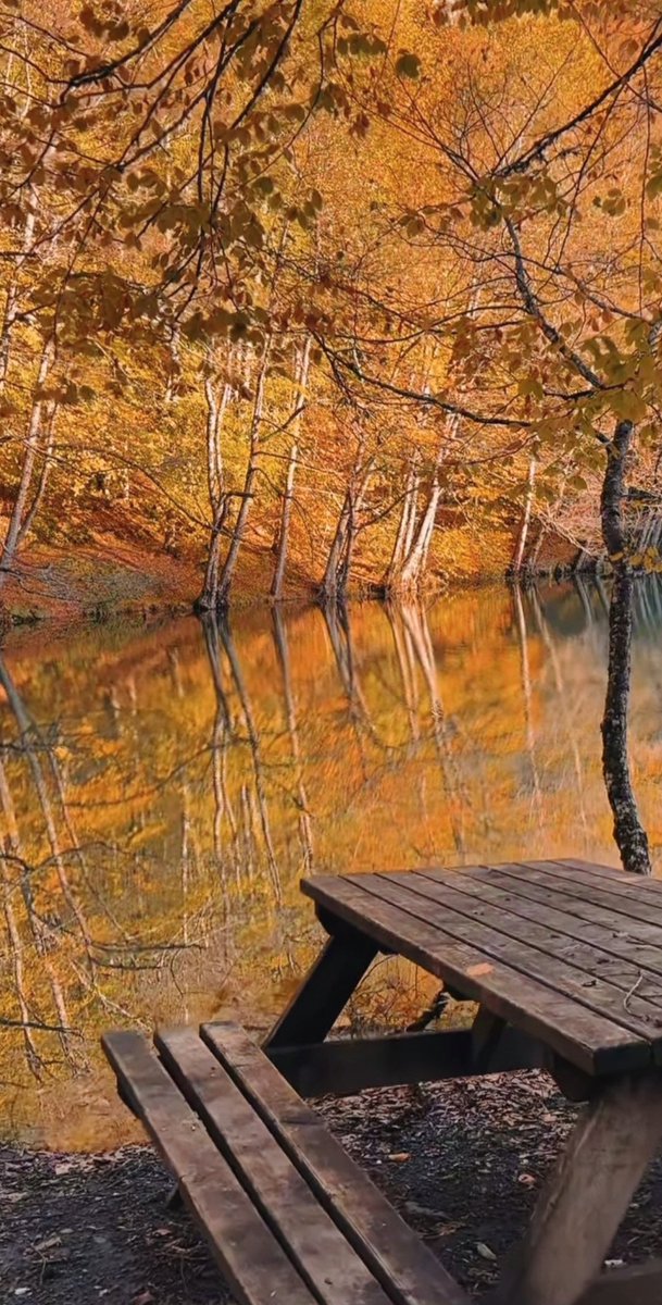 "Son demler"...🍂🍁

Günaydın...