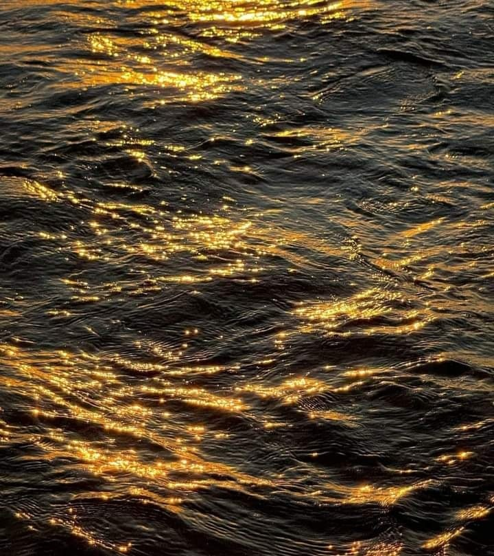 seawavesounds's tweet photo. golden waves https://t.co/fo0IKGqkGE