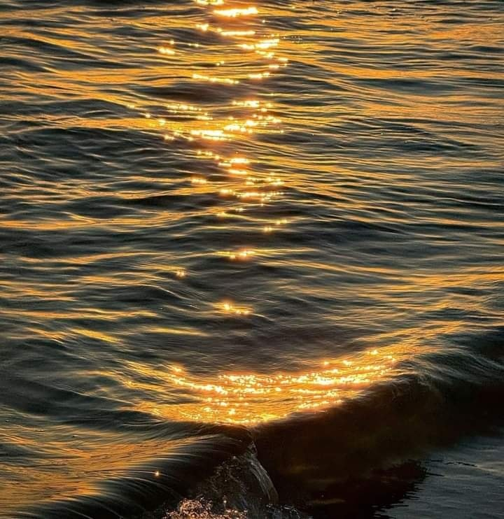 seawavesounds's tweet photo. golden waves https://t.co/fo0IKGqkGE