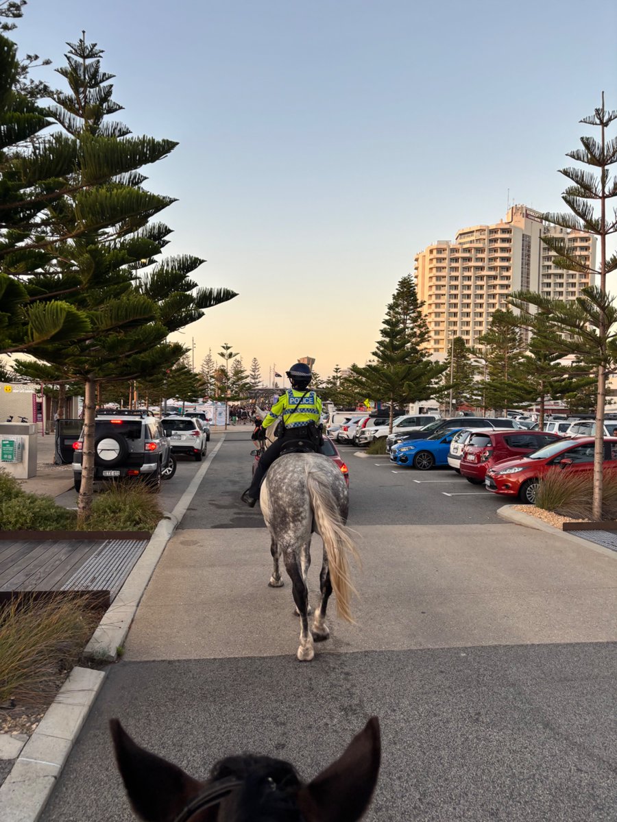 WA Police Force Mounted tweet media