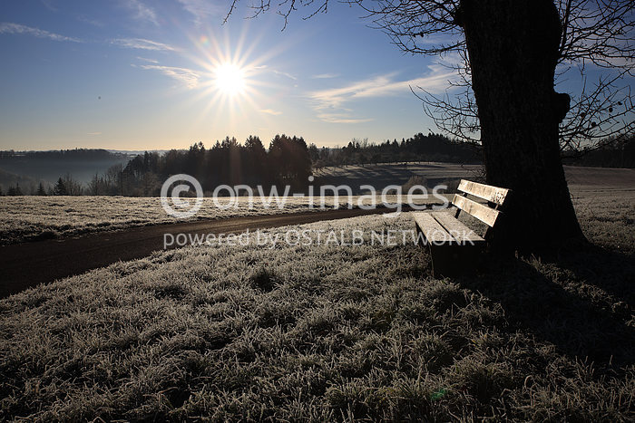 Raureif hat sich über Nacht auf den Gräsern einer Wiese und an den Blättern von Bäumen im Rems-Murr Kreis gebildet.

Foto: onw-images / Alexander Wolf +++ © onw-images +++ 05.12.2024
