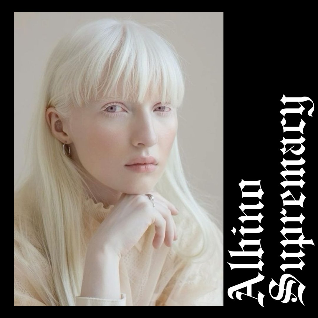 ABINO NIGGA SEASON tweet media