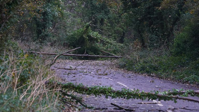 With #StormDarragh due to reach #Essex later &amp; stay around for the weekend, please be careful of debris on roads &amp; pavements, especially on rural/unlit roads where visibility is reduced. Slow down, avoid flooded roads &amp; #DriveToArrive.

weather.metoffice.gov.uk/warnings-and-a…