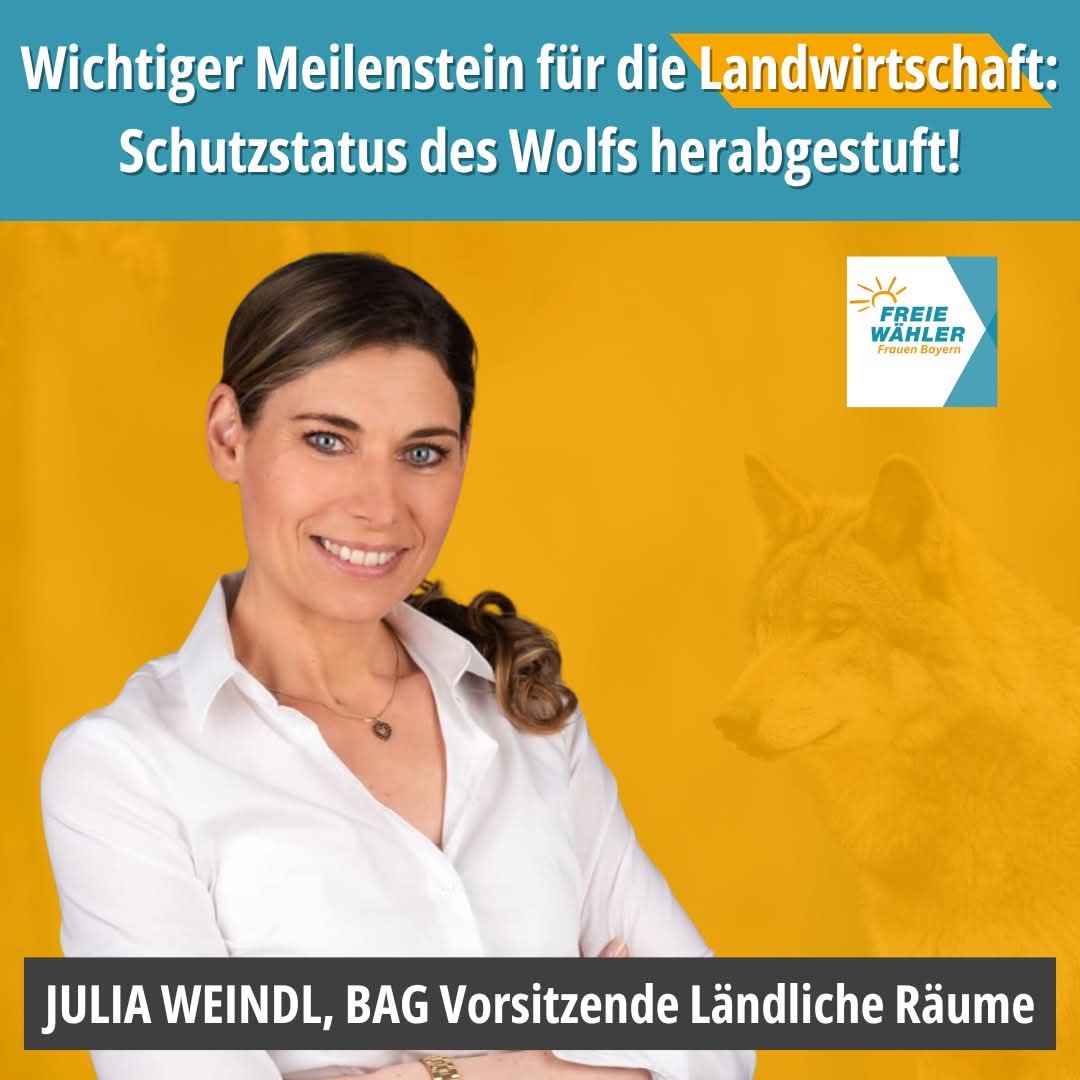 Der Ständige Ausschuss der Berner Konvention hat entschieden, den Schutzstatus des Wolfs zu reduzieren. Dieses klare Signal unterstützt unsere Landwirte, die lange Zeit mit Wolfsangriffen, verunsicherten Herden und enormem Druck allein gelassen wurden. 🐾