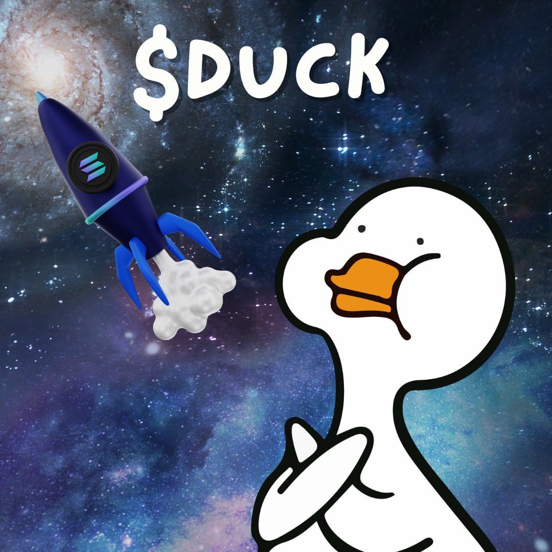 noneedduckspl's tweet photo. No need for hype, just float with $DUCK. 🦆✨

#DUCK #SOL #NoNeedDuck #solmemes https://t.co/L4C8xnVoYl