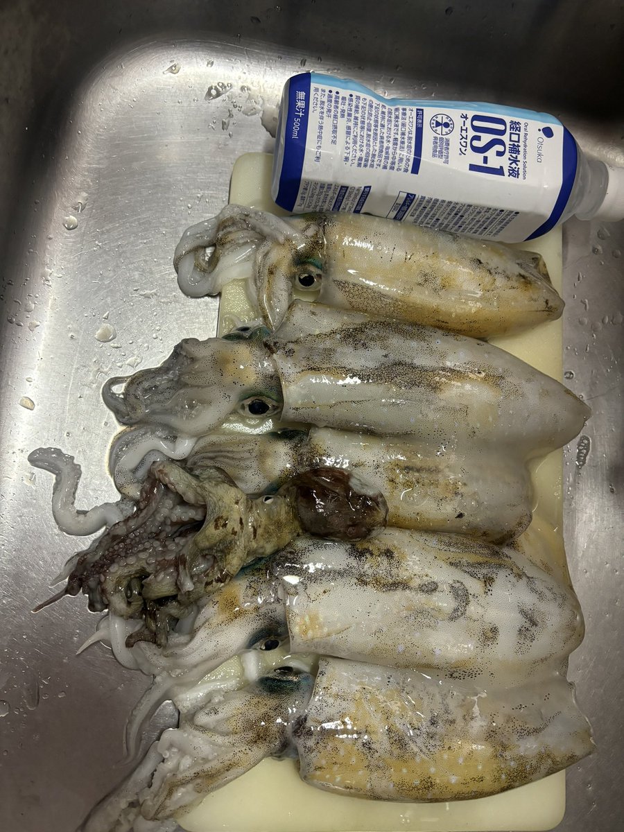 izu_ken's tweet photo. #ティップラン
#サワラキャスティング
#飯蛸 https://t.co/LSovugXRve