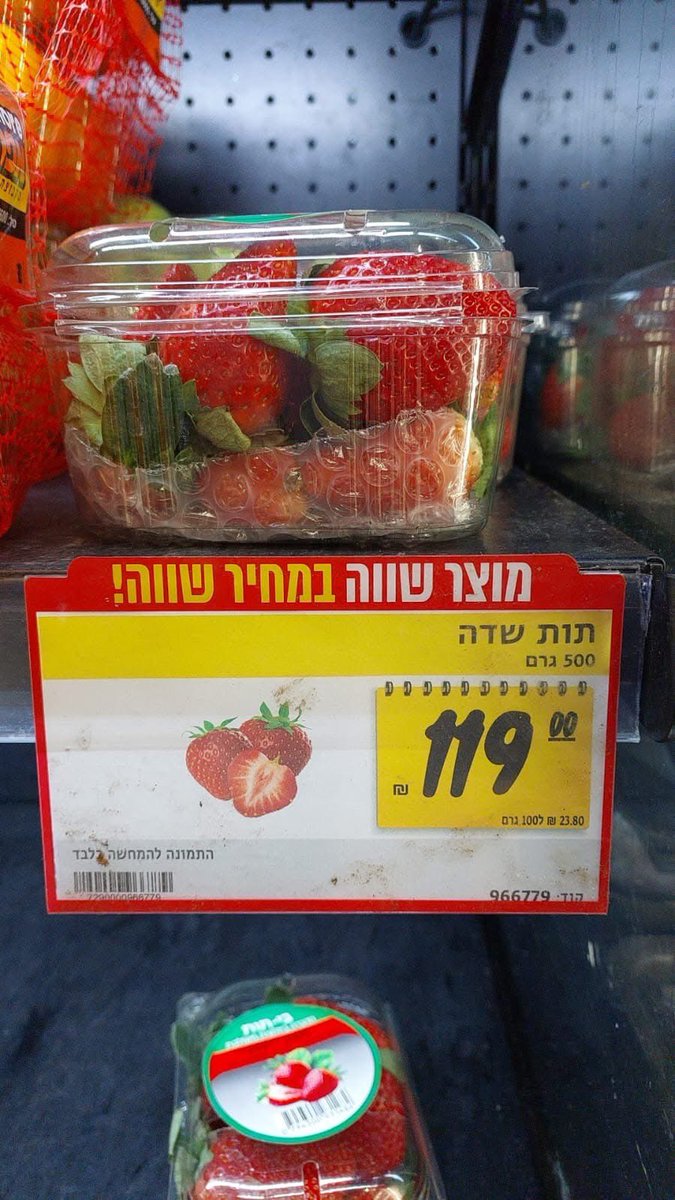 d_osem's tweet photo. במקום לקנות היום בסופר תותים לסופ״ש,
תעשו לעצמכם טובה קנו קצת ביטקוין.

שניהם עלה המחיר אבל אחד בטוח לא יגדל לכם שיערות לבנות ויירקב תוך עשרים וחמש דקות במקרר.

תבחרו נכון! 

חוסך בשקל, עובדים עליך. https://t.co/d1P2uZbgpC