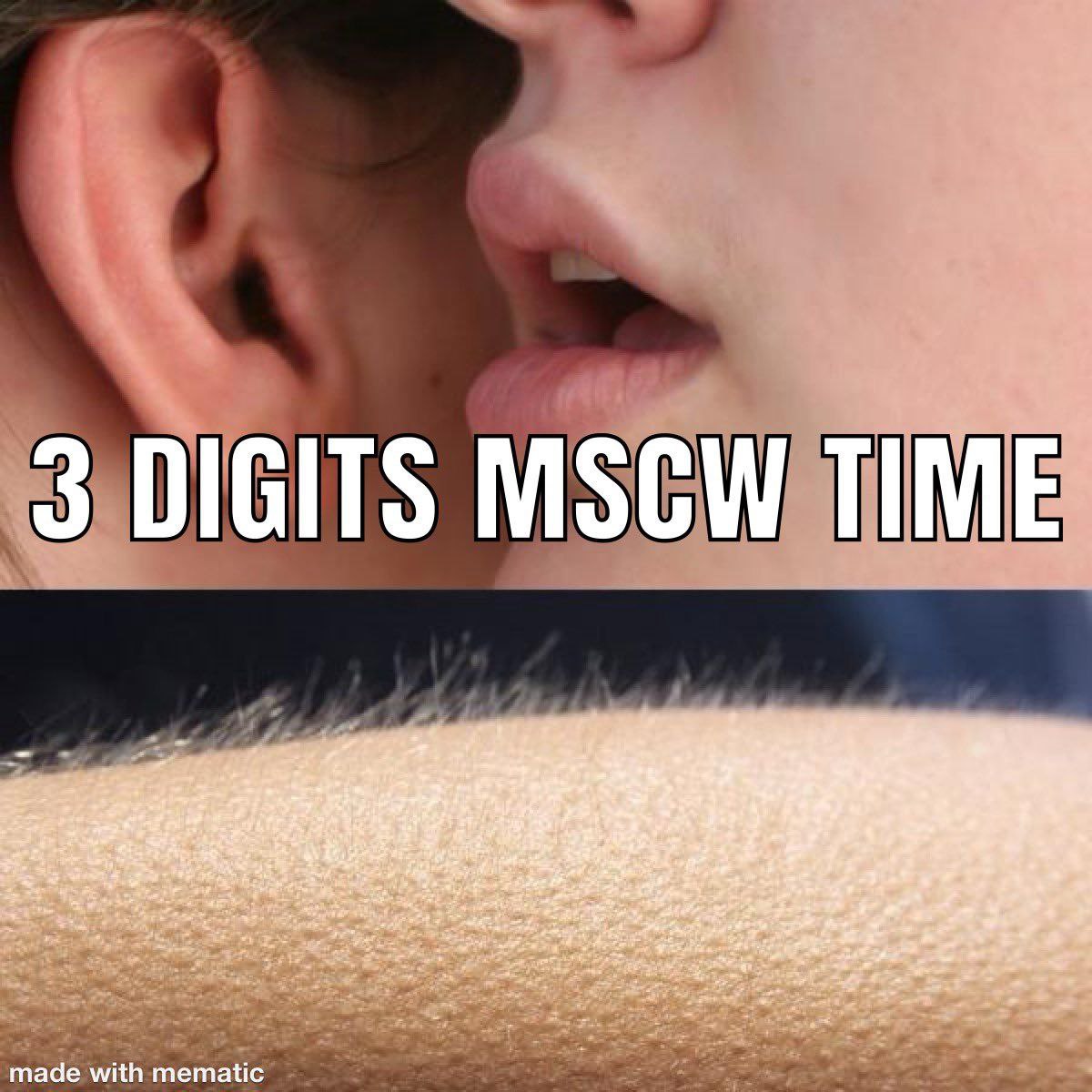 Ruudiano tweet media