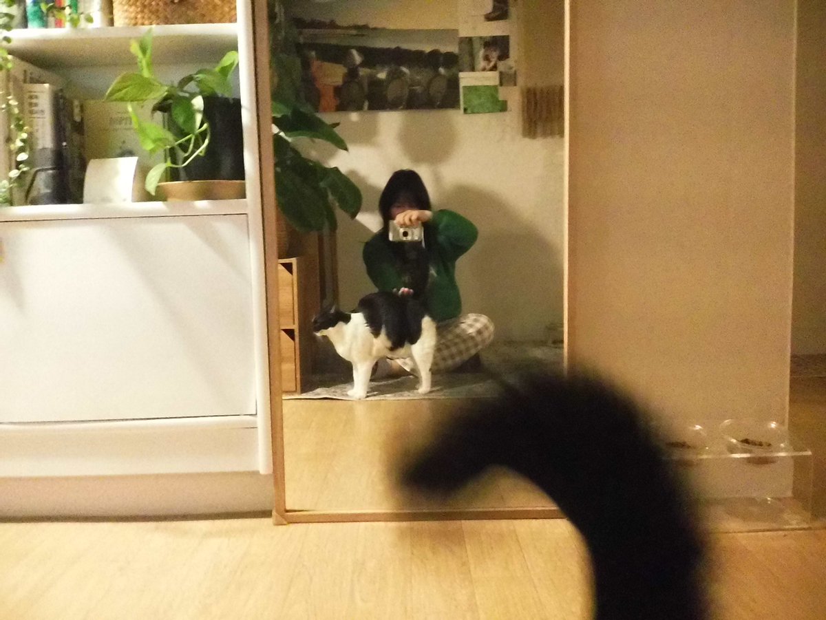 duelree's tweet photo. 인스탁스 색감과 질감은 언제나 좋다구요 🤍 https://t.co/ZbSAgH6k9h