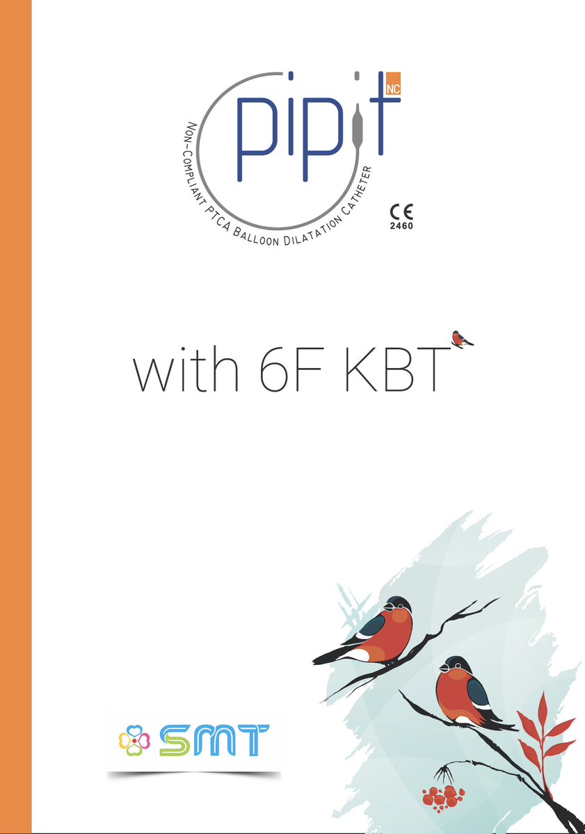 IberiaSmt's tweet photo. Pipit NC, el Cateter balon de ACTP con mejor navegabilidad del mercado, ahora con capacidad de realizar Kissing Balloon con dos Pipit por un catéter guia 6F (hasta 3.5 mm de diámetro inclusive, todas las longitudes)
#PIPITNC