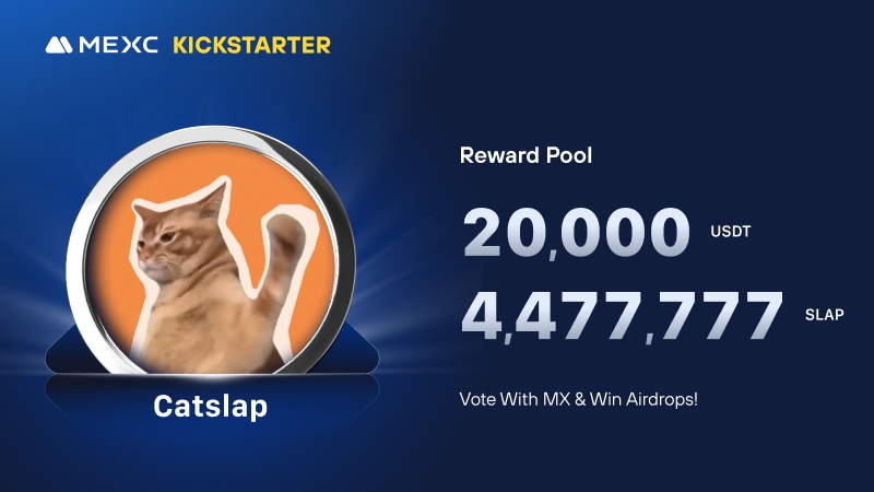CatSlapToken tweet picture