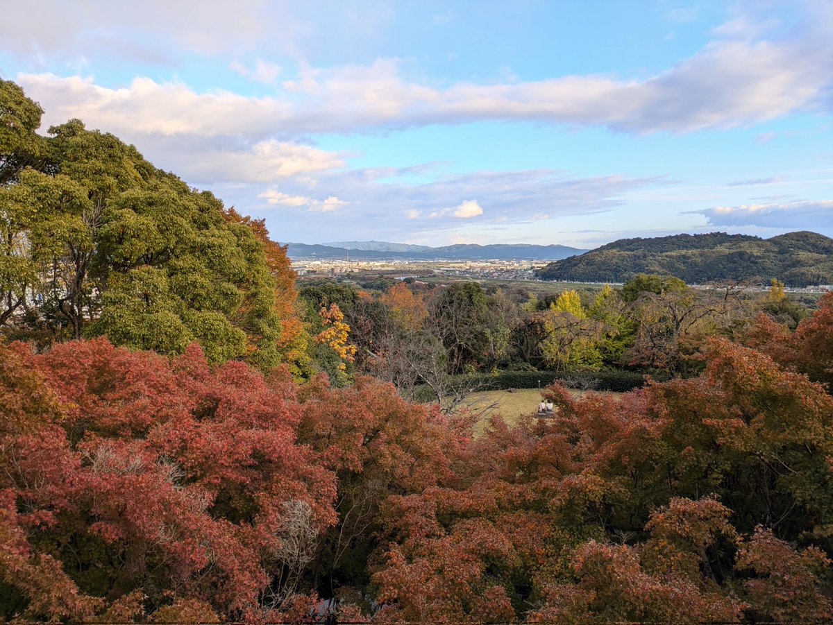 caramelnonchan's tweet photo. 大山崎山荘美術館
アンティークな洋館、
お手入れの行き届いたお庭、
テラスからの眺め
展示はもちろん建築もすてきな美術館でした
#Nonの秋旅
#大山崎山荘美術館 https://t.co/l2JaMS90PX