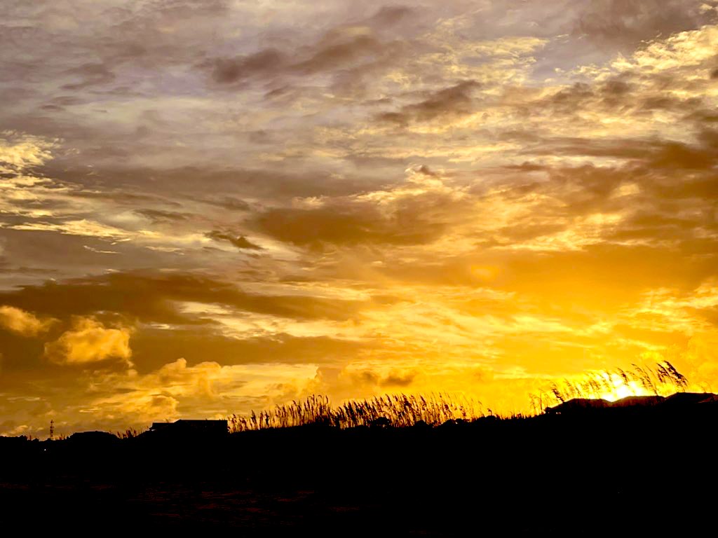 Avram Dorado tweet media