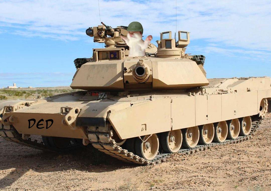 $DED CAT tweet media