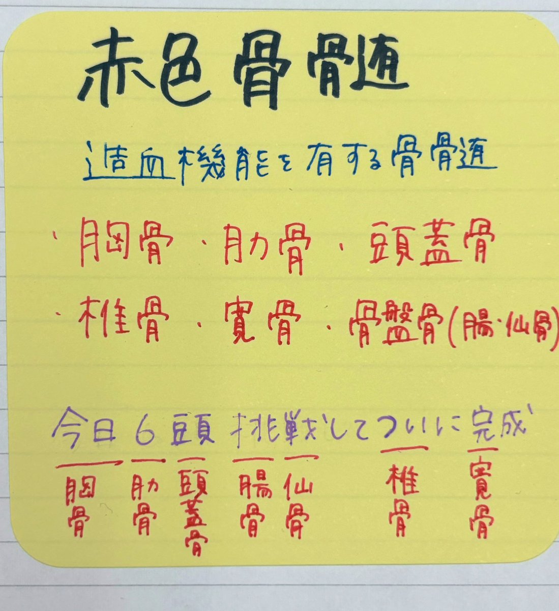 1O25_h's tweet photo. 赤色骨髄

⭐️今日6頭挑戦してついに完成‼️

無理やりすぎるけどこれで完璧に覚えたい😭

#限界暗記 https://t.co/aLxpzzzo3S