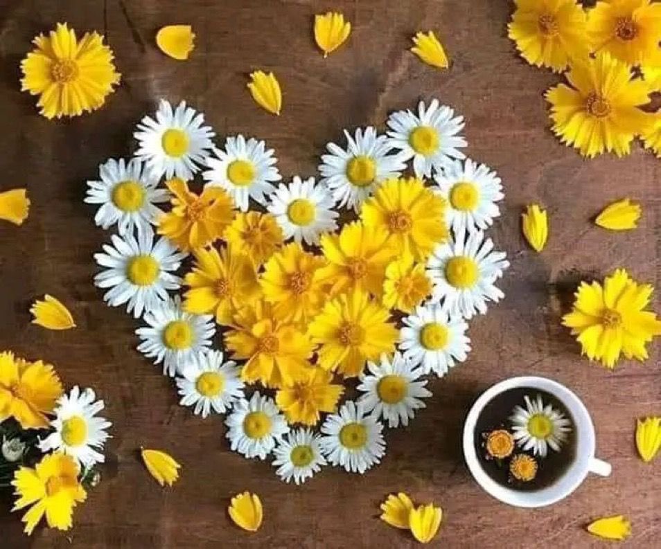 #الخميس_الونيسᅠ…

استقبِلوا أقداركم بنفسٍ راضية، فاللهُ يعلمُ وأنتم لا تعلمون…