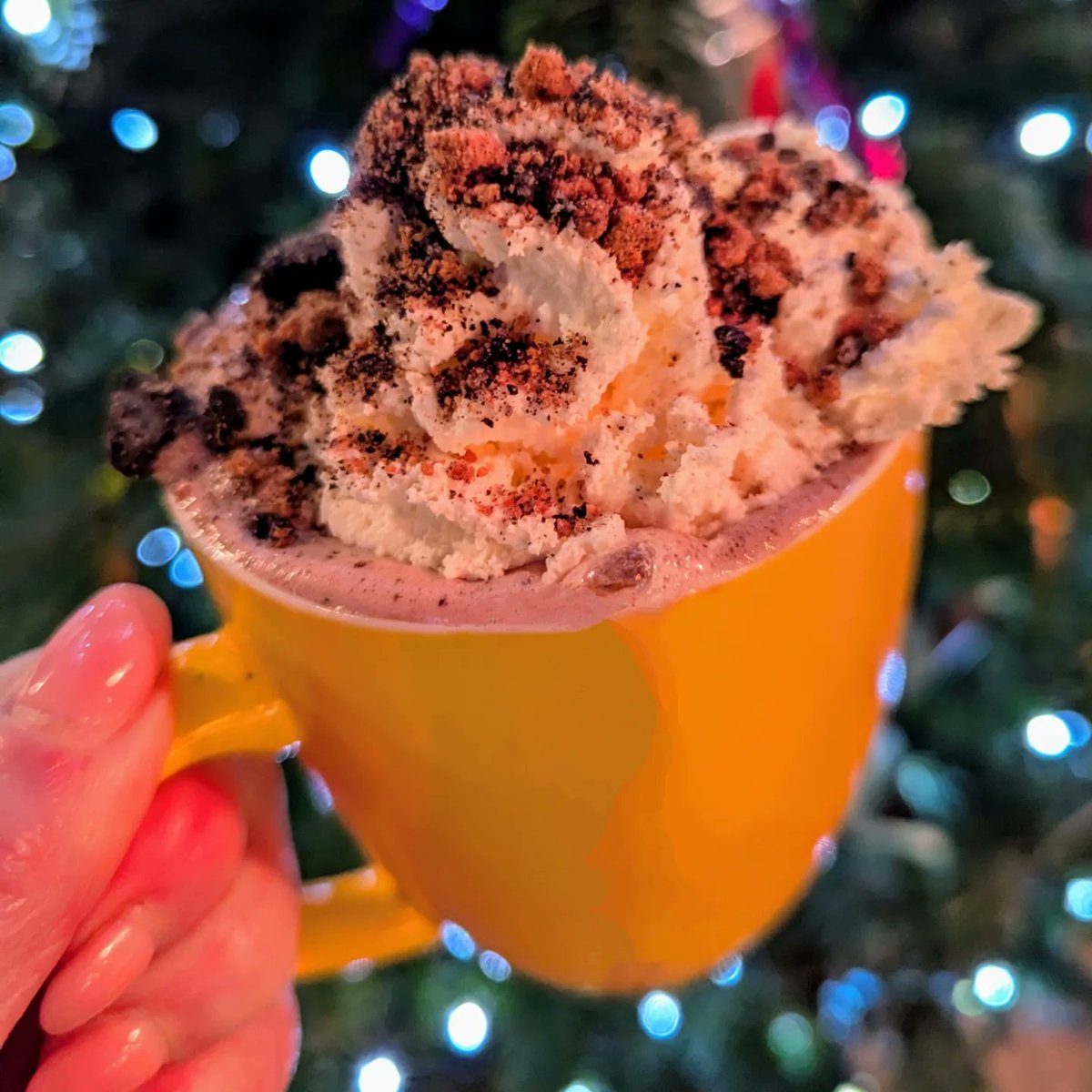 Chew's Yard tweet media