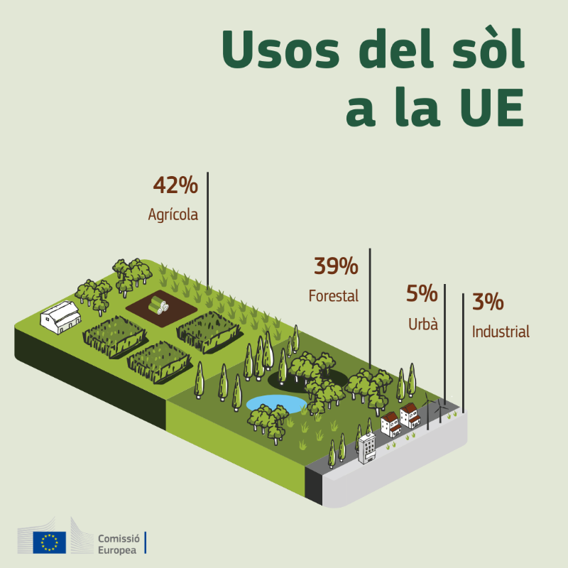 ComissioEuropea's tweet photo. Avui #DiaMundialdelSol, recordem que els sòls són vitals per als nostres aliments, per l'aigua i per la biodiversitat del planeta🌱
Descobreix els projectes finançats per la UE que ajuden a la transició cap a una cultura sana de l'ús del territori per al 2030 ⤵️🌍
#SaveOurSoils