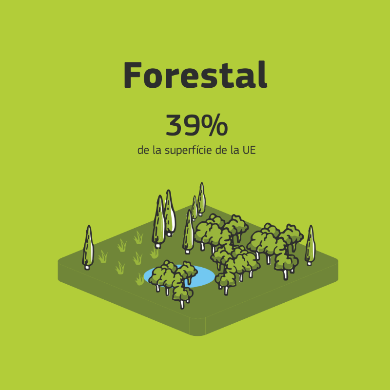 ComissioEuropea's tweet photo. Avui #DiaMundialdelSol, recordem que els sòls són vitals per als nostres aliments, per l'aigua i per la biodiversitat del planeta🌱
Descobreix els projectes finançats per la UE que ajuden a la transició cap a una cultura sana de l'ús del territori per al 2030 ⤵️🌍
#SaveOurSoils