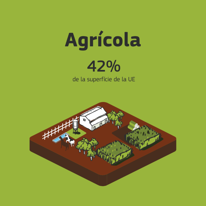 ComissioEuropea's tweet photo. Avui #DiaMundialdelSol, recordem que els sòls són vitals per als nostres aliments, per l'aigua i per la biodiversitat del planeta🌱
Descobreix els projectes finançats per la UE que ajuden a la transició cap a una cultura sana de l'ús del territori per al 2030 ⤵️🌍
#SaveOurSoils