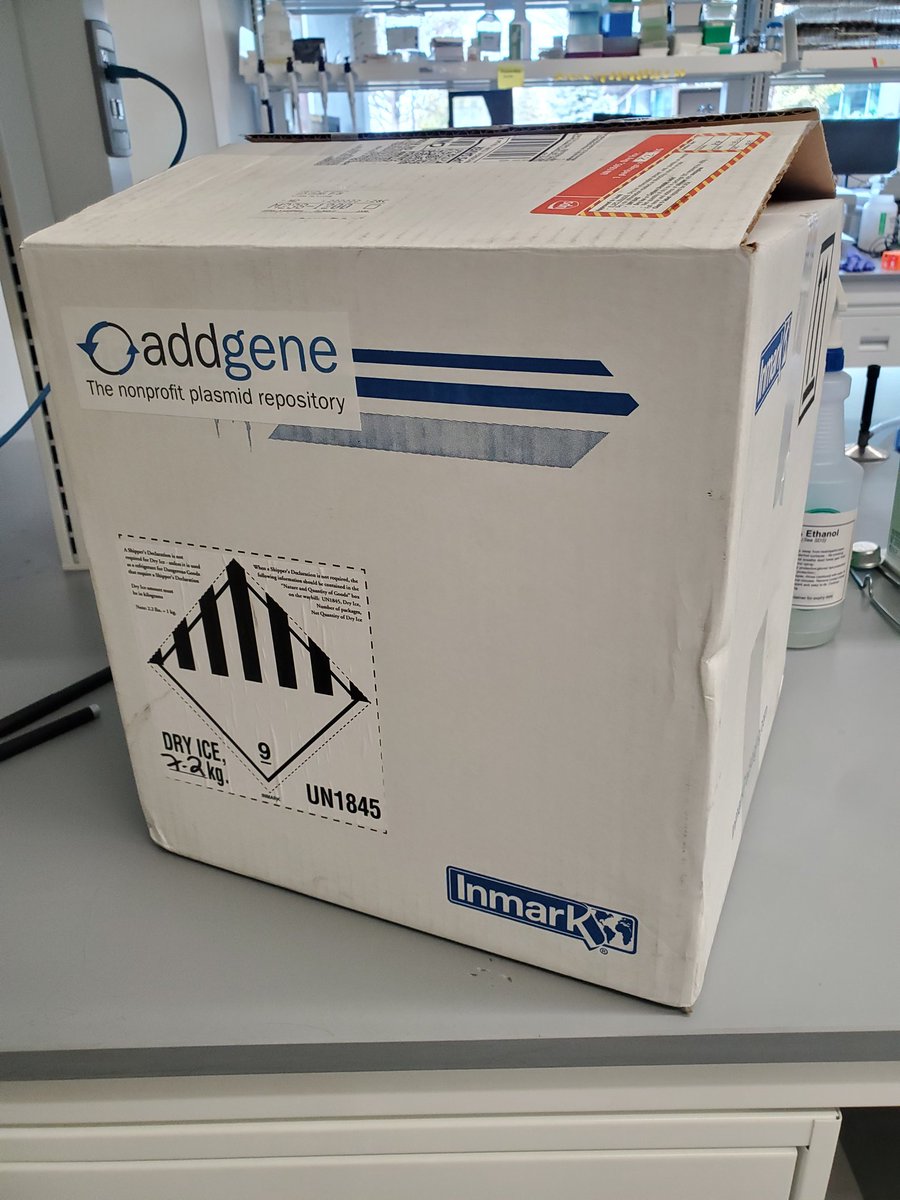 My lab is still thrilled about the CRISPR toolkit that arrived last week. We're looking forward to diving into some exciting yeast genome engineering projects!