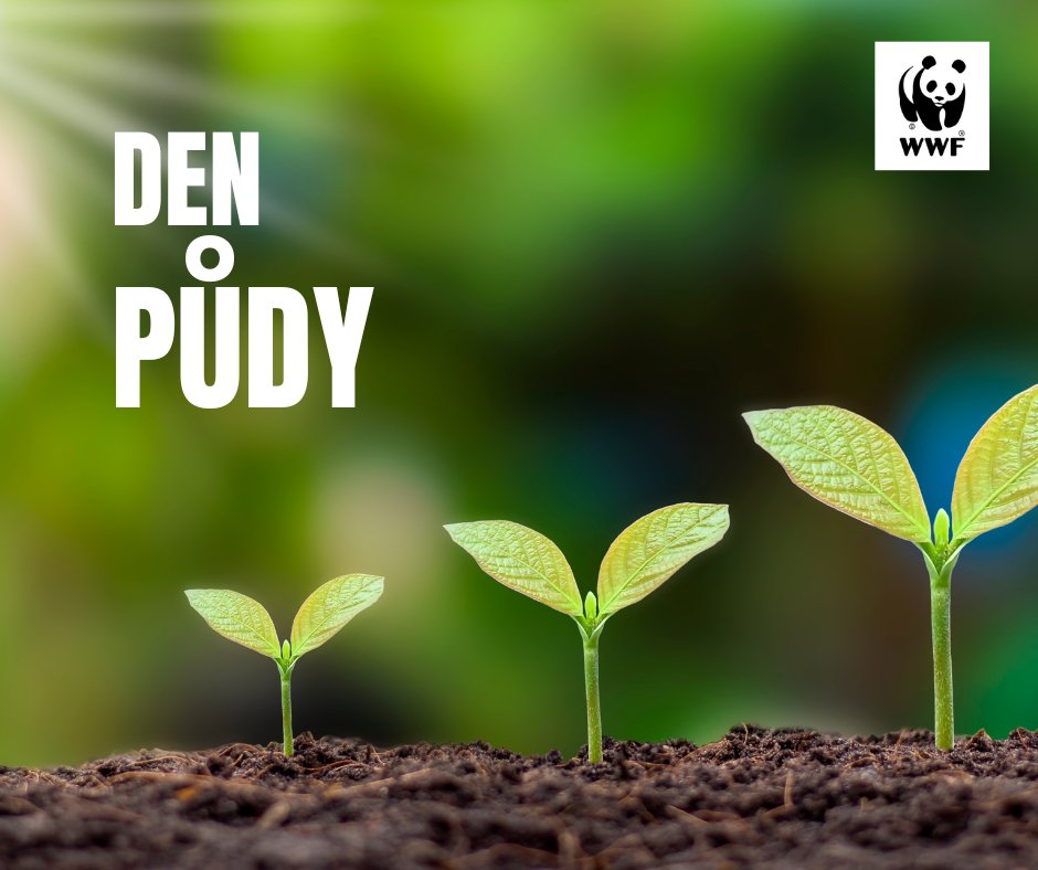 WWFinCzechia's tweet photo. 🌍 Dnes je tedy Světový den půdy! 🐛

Ukažte dětem zábavnou formou, jak vzniká, jak o půdu pečovat a proč se bez ní také neobejdeme.  Ve spolupráci s Academia Film Olomouc vám přinášíme film 🌱 Přátelé půdy: Tajemný svět pod zemí. : 👉https://t.co/JfeUhx7csU https://t.co/kwHle3sGRH