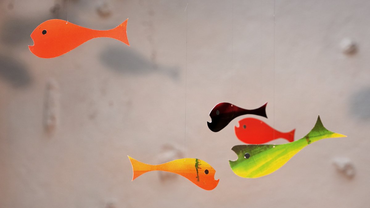 Kaleider tweet media