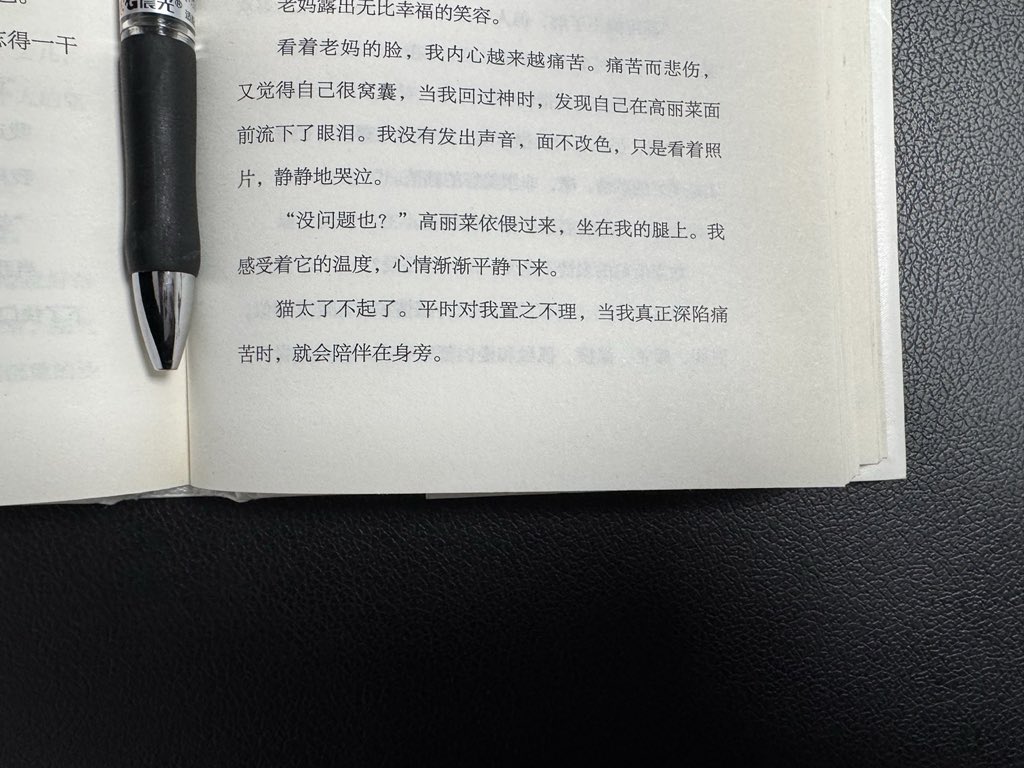 Alviss86's tweet photo. 猫太了不起了 https://t.co/M2sfgl1bUd