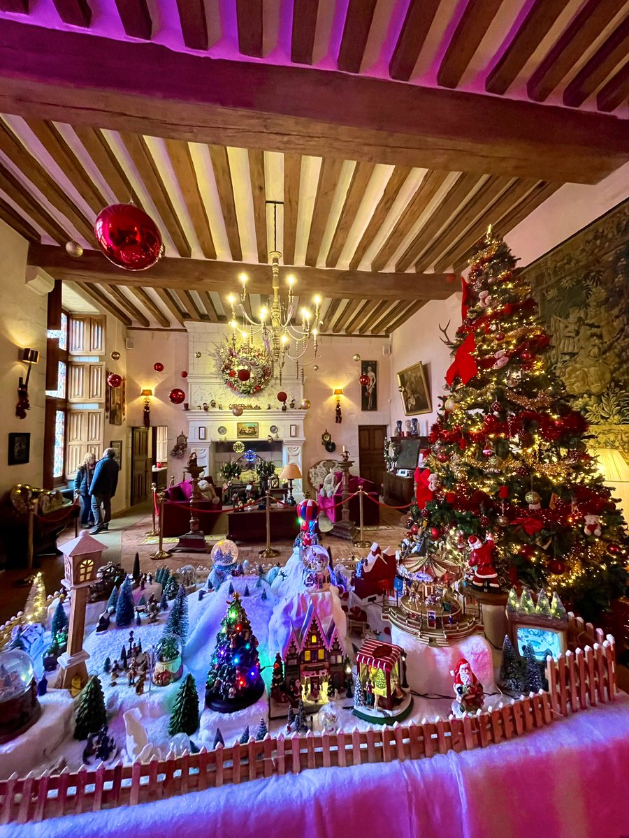 AmboiseGaillard's tweet photo. 🎄🎅🏼🍊le Grand Noel des Orangers au pied du sapin ! @ChatGaillard @AmboiseGaillard https://t.co/TY0DH2eht7