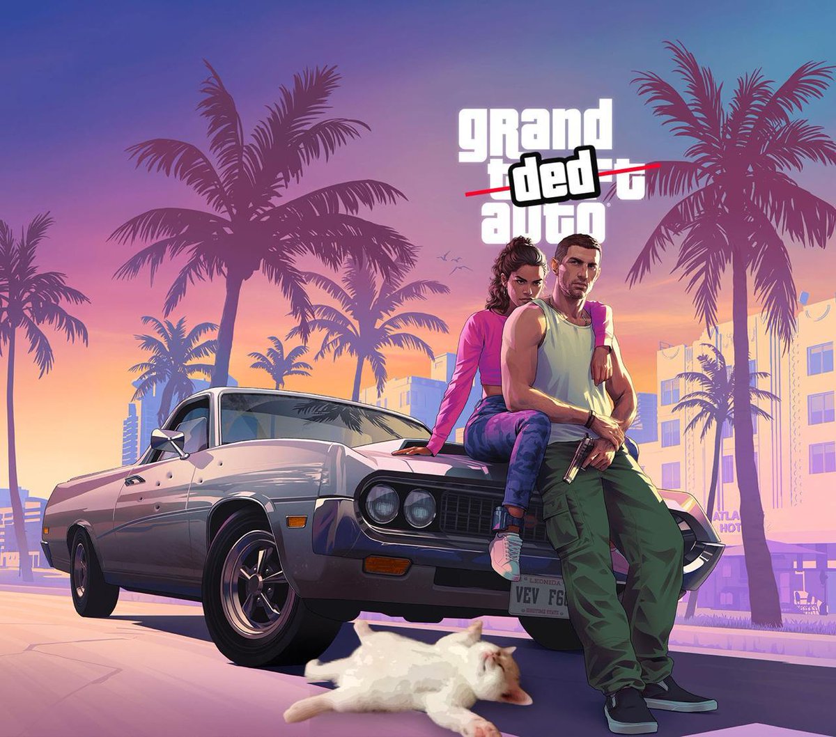 $DED CAT tweet media