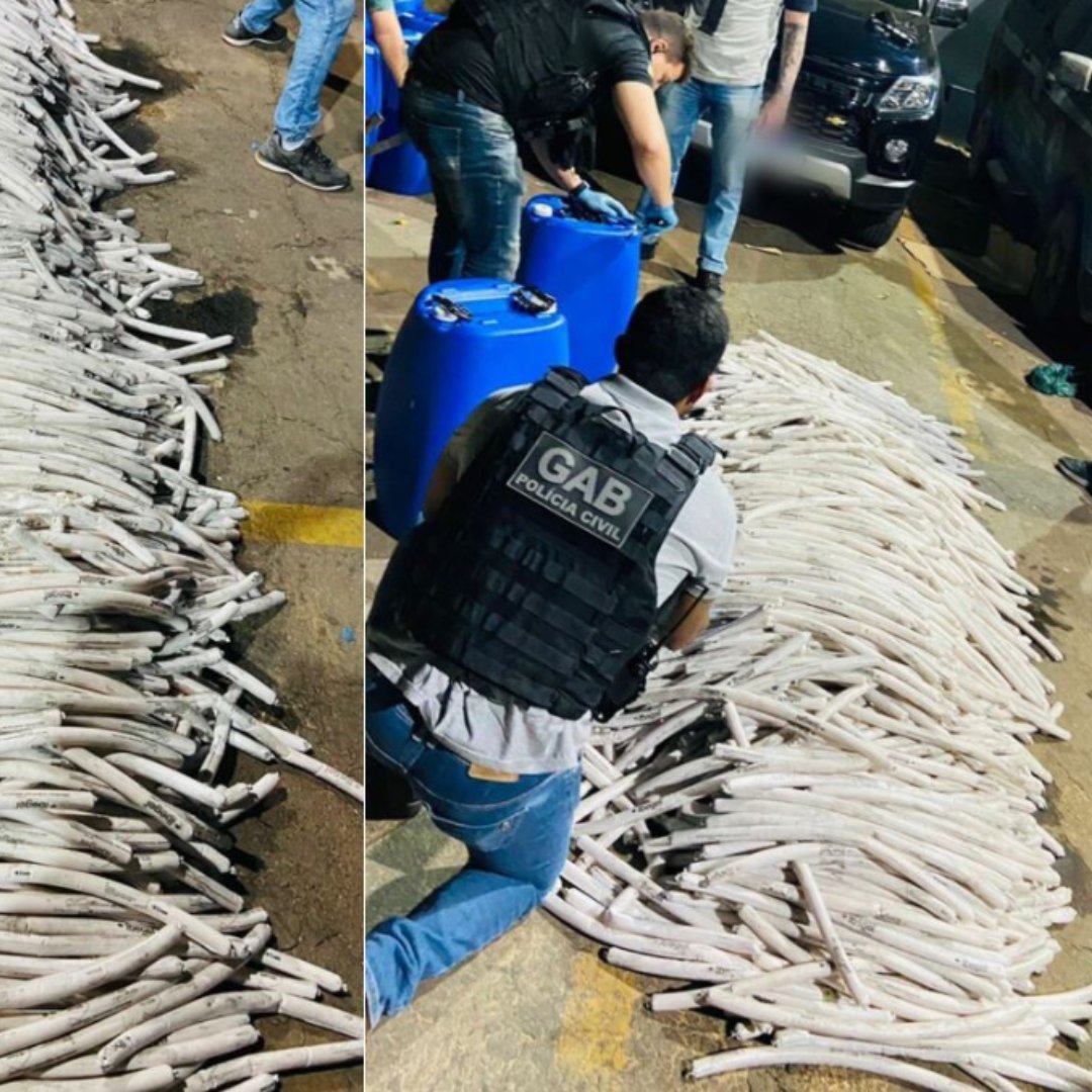 More than 28,000 kg of explosives, 3,400 Improvised Explosive Devices seized in South America🧨

Operation Claymore brought together law enforcement from 9 countries to target the theft, smuggling and trafficking of explosives. 

Read the full story🔗➡️interpol.int/News-and-Event…