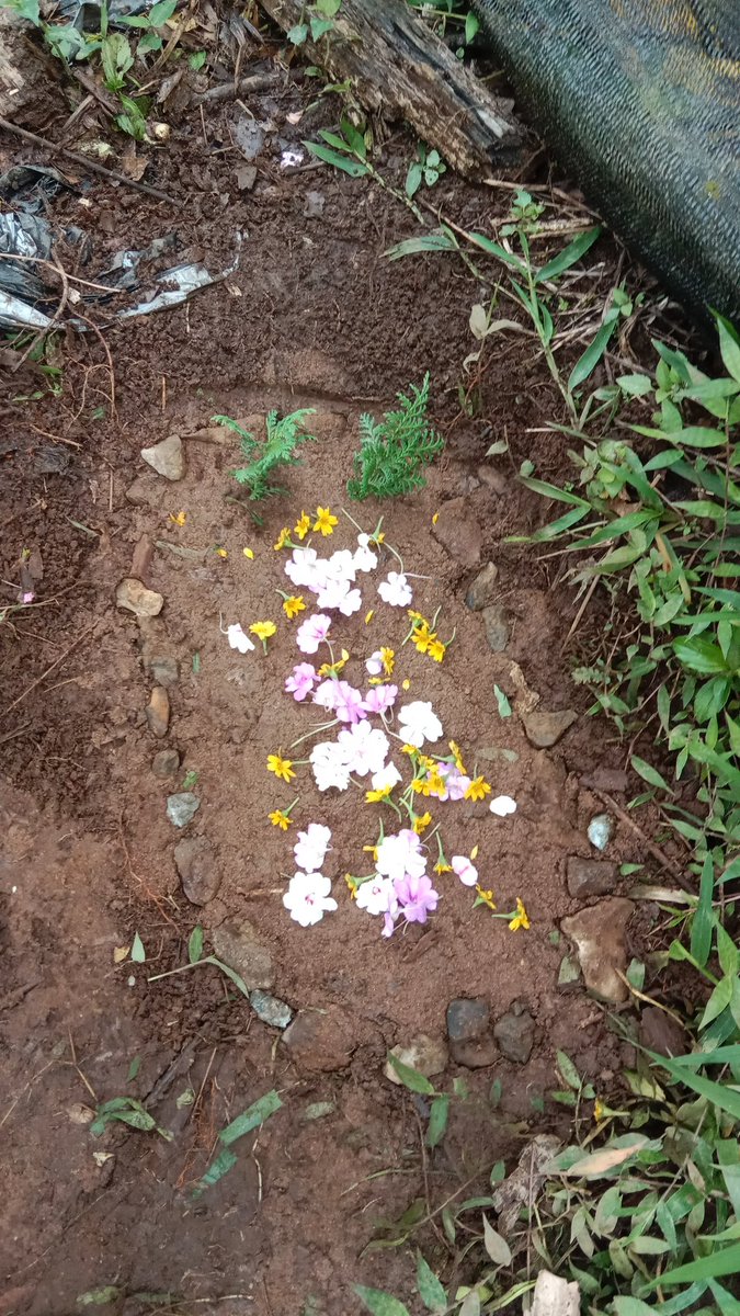 rirara02's tweet photo. Fly high ganteng nya ibu, semoga setelah hujan badai ini ada pelangi didepan sana https://t.co/soJBaa3qvh