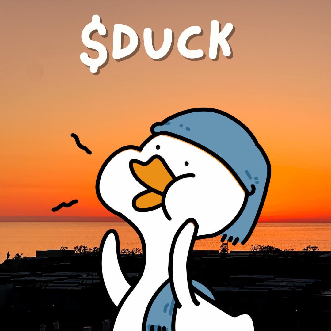 noneedduckspl's tweet photo. $DUCK floats above the noise. Effortless wins. 🦆

#SOL #DUCK #solmemes #NoNeedDuck https://t.co/u9Ancul1ox