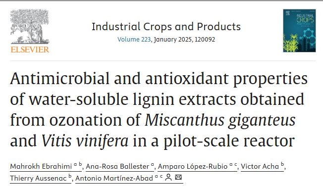 Postharvest Pathogens and Food Spoilage Team (@postpath_iata) on Twitter photo We are excited to share our research paper on the bioactive properties of water-soluble lignin extracts, the result of a collaboration with <a href="/FoodPackGroup/">Packaging Group</a> .
Take a look at it.
doi.org/10.1016/j.indc…
<a href="/iata_csic/">IATA CSIC</a> <a href="/susplast/">SusPlast-CSIC</a> We are excited to share our research paper on the bioactive properties of water-soluble lignin extracts, the result of a collaboration with <a href="/FoodPackGroup/">Packaging Group</a> .
Take a look at it.
doi.org/10.1016/j.indc…
<a href="/iata_csic/">IATA CSIC</a> <a href="/susplast/">SusPlast-CSIC</a>