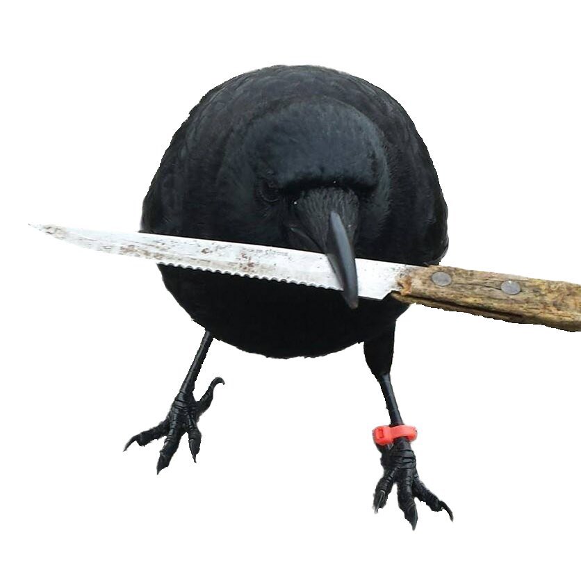 <a href="/BitMartExchange/">BitMart</a> crow with knife