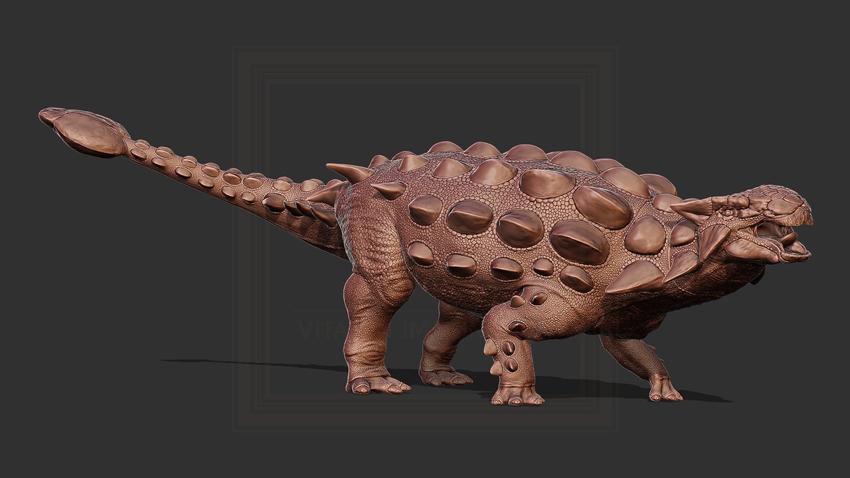 vitaimagination's tweet photo. Ankylosaurus will be printed.
It is 1:35 scale and divided into 3 parts.
Based on the customer's request, I used the Ankylosaurus pose created by the great artist bohuslav_salo.

#안킬로사우루스 #Ankylosaurus #scalemodel #dinosaur #3dprint https://t.co/jsw5dfKA9c