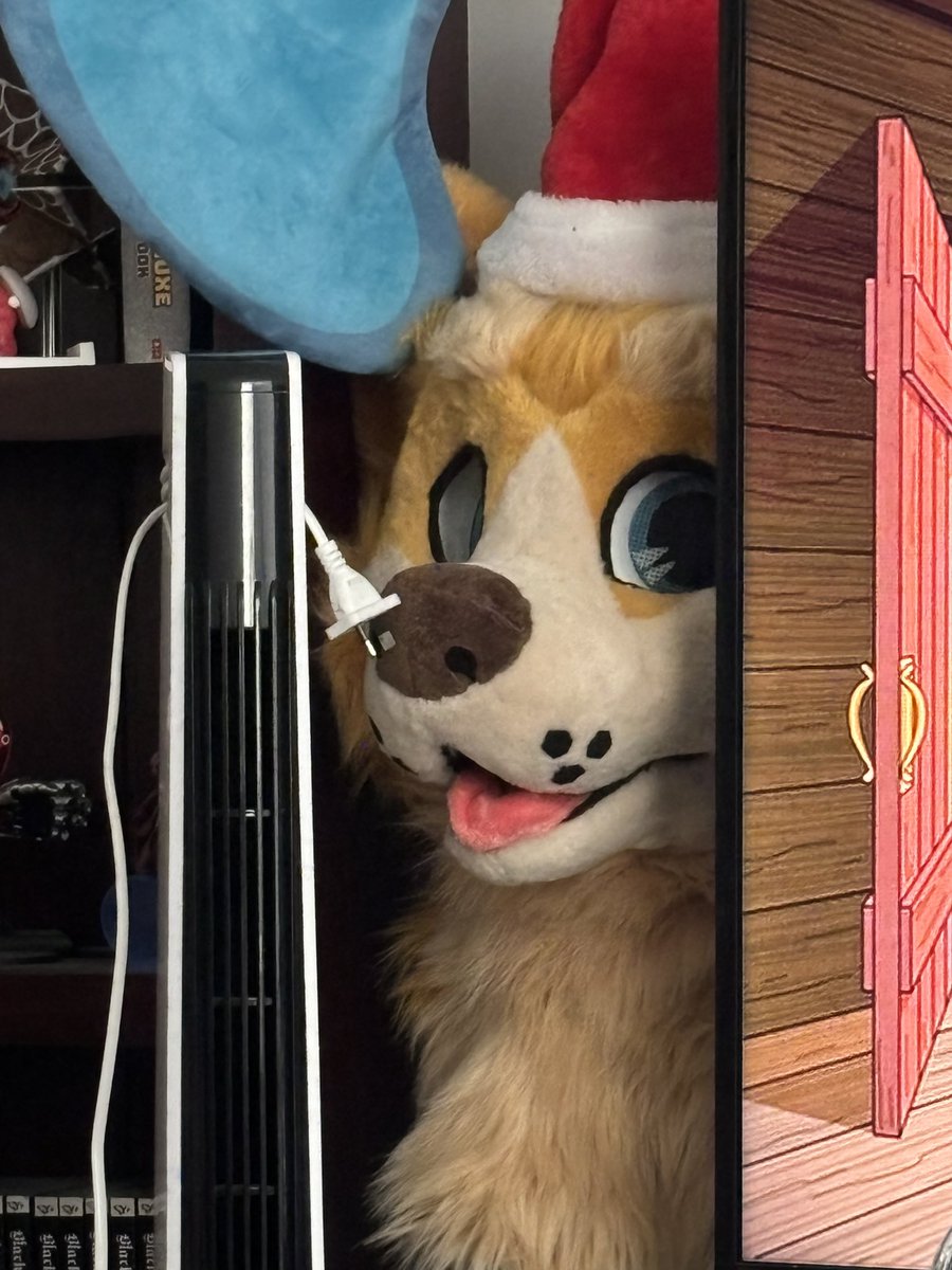 JC_Daisy_'s tweet photo. Santa paws is always watching https://t.co/mvnyl71wTd
