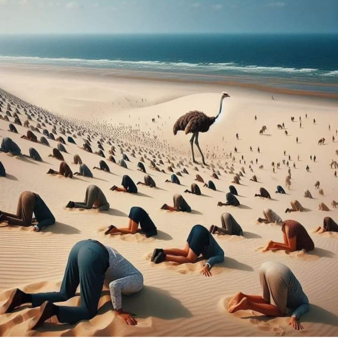 Müslümanlar:
Gazze'de mutlu değiller,
Mısır'da mutlu değiller,
Libya'da mutlu değiller,
iran'da mutlu değiller,
Irak'ta mutlu değiller,
Yemen'de mutlu değiller,
Afganistan'da mutlu değiller,
Pakistan'da mutlu değiller,
Suriye'de mutlu değiller,
Lübnan'da mutlu değiller....