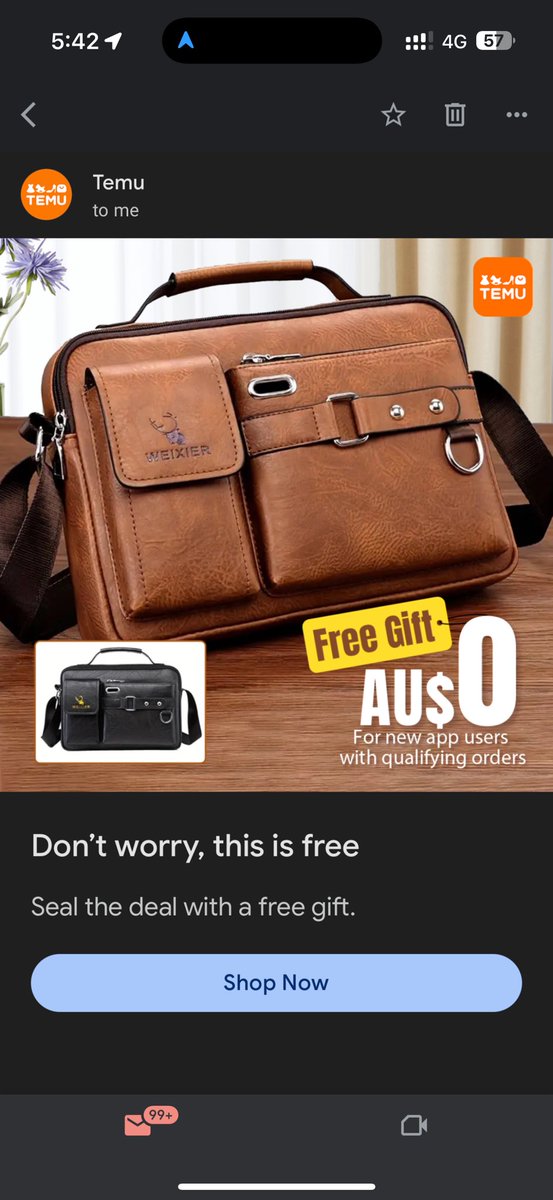 _grassy's tweet photo. @acccgovau how does @TemuAustralia get away with blatant false advertising. In my @gmail today I got this, click on it, no mention of the free bag after I open the Temu app. https://t.co/Q9lSvo5esg
