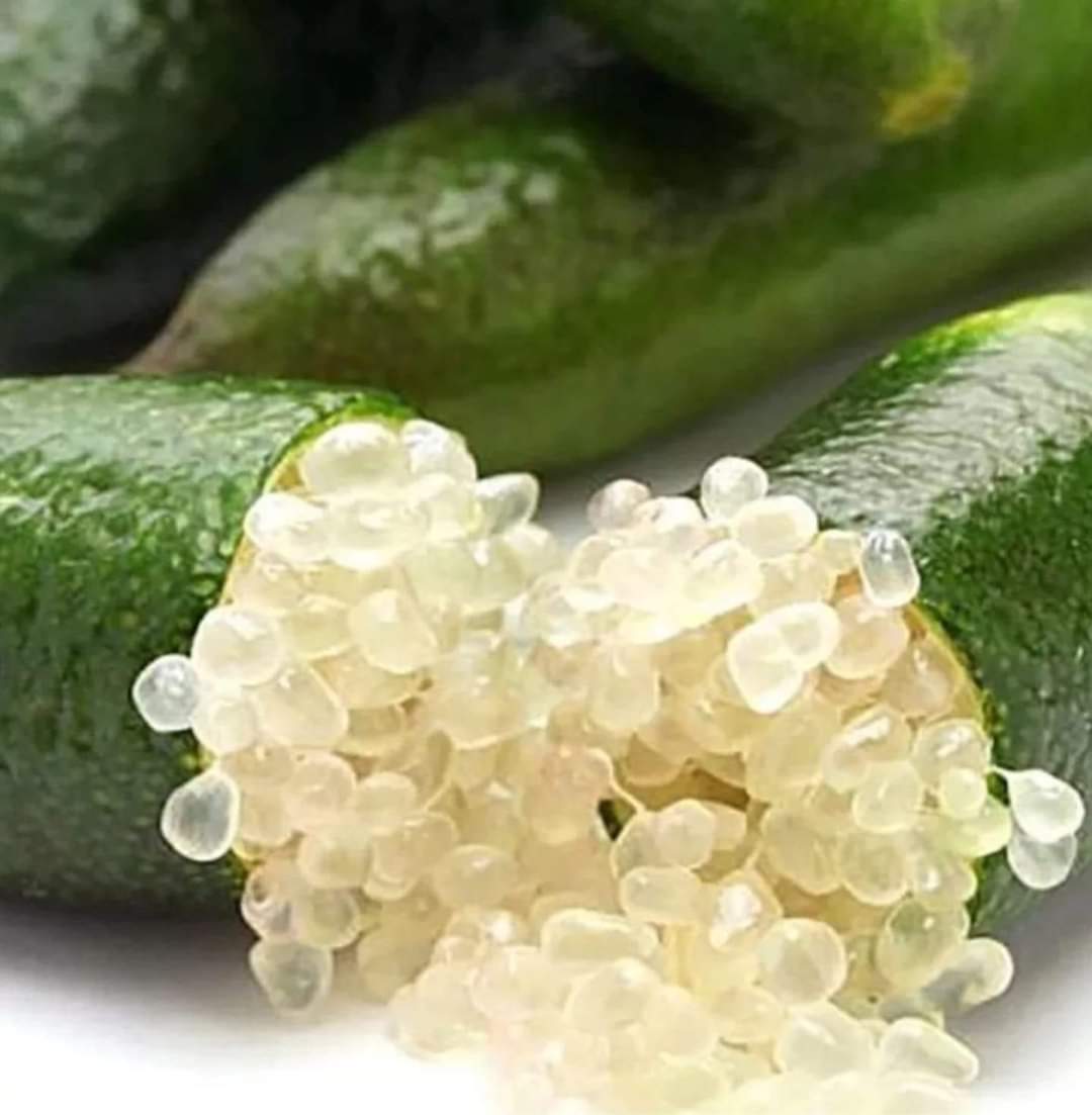 🍋 Ցիտրուսային Խավիար կամ Ավստրալիական Լայմ 7.000, 38.000 դ
Բնության թարմություն՝ մի բաղադրիչում
Համերի այս յուրահատուկ թարմությունը պարունակում է վիտամին C, A և B6, կալիում, ֆոլաթթու և պոլիֆենոլներ՝ բնական հակաօքսիդանտներ, որոնք պաշտպանում են օրգանիզմը ազատ ռադիկալներից։