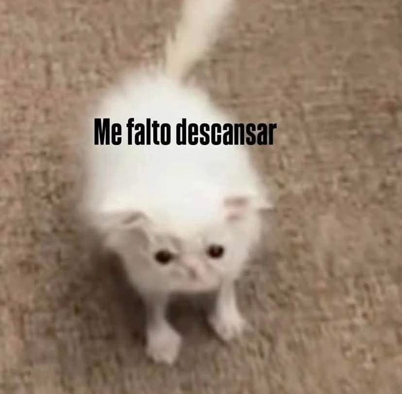 En_jupiter_'s tweet image. 