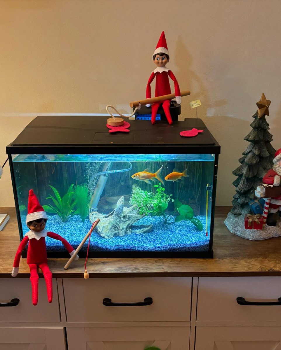 tibets57's tweet photo. @BobKellyFOX29 #elfontheshelf https://t.co/3MZ4M7tCsr